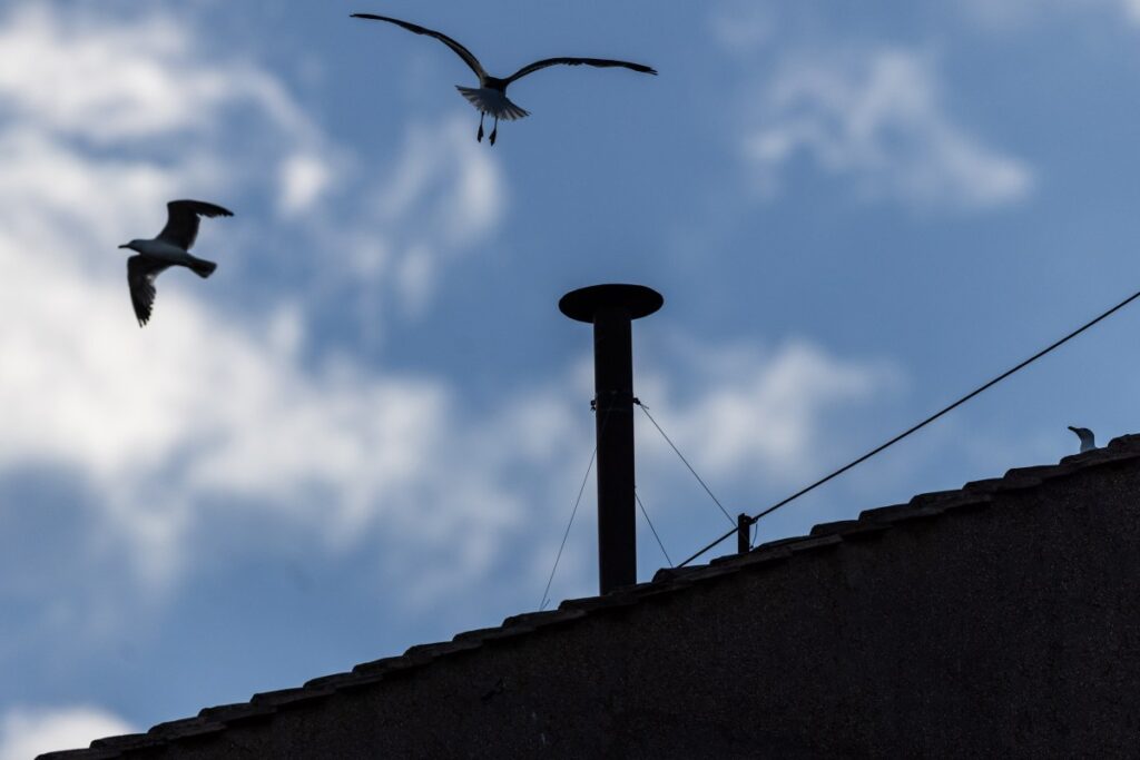 The Papal 'conclave cam' is slow TV