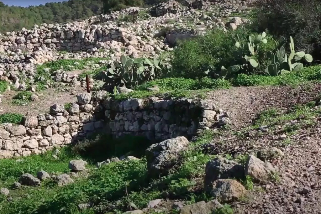 دير رافات.. قرية مقدسية آوت "ملكة فلسطين" | الموسوعة