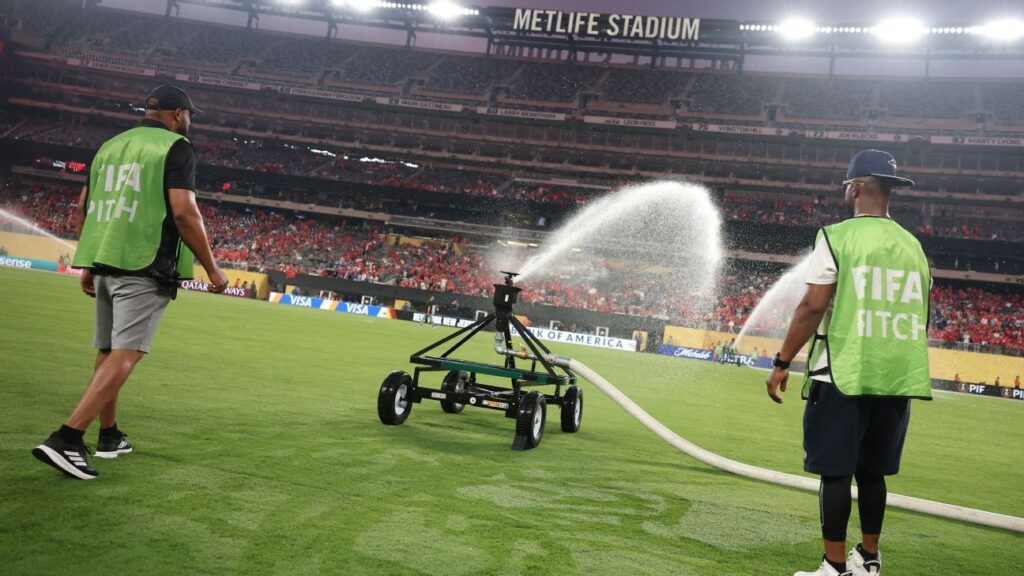 FIFA's Arsene Wenger: U.S. pitches will be better at World Cup