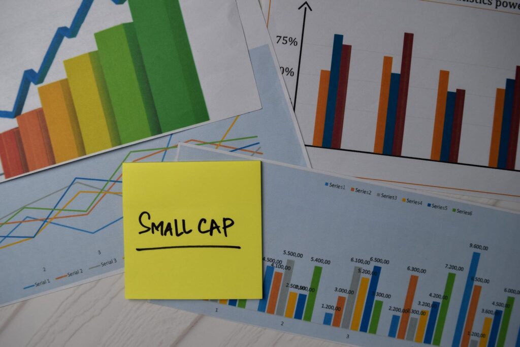 Macquarie Small Cap Value Fund Q1 2025 Commentary (DEVIX)
