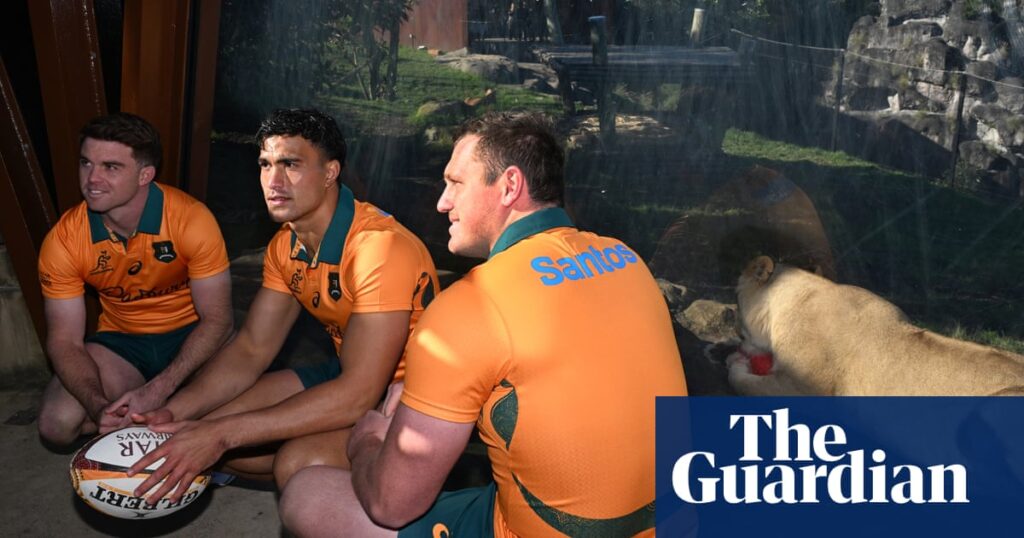 The 2025 Next Gen Wallabies sense Farrell’s Lions are there for the taking | Rugby union