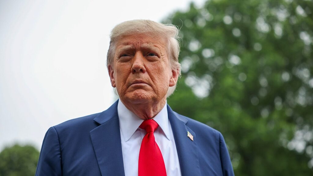Trump says US ending all trade talks with Canada over digital services tax