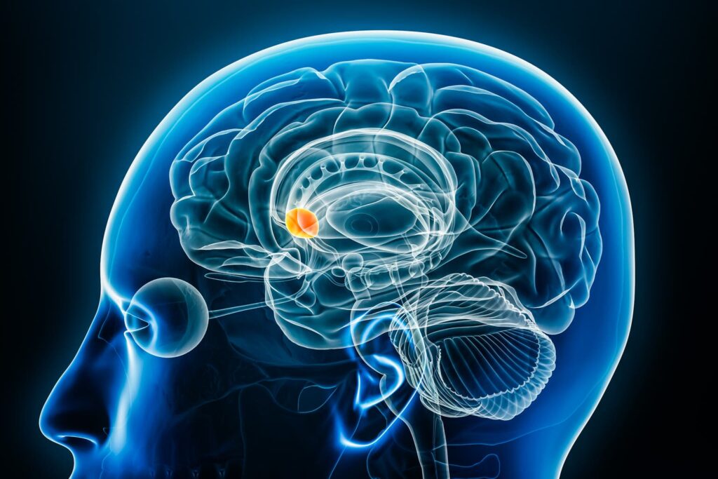 BrainsWay: Deep TMS Gains Traction, But Valuation Leaves Little Room For Error