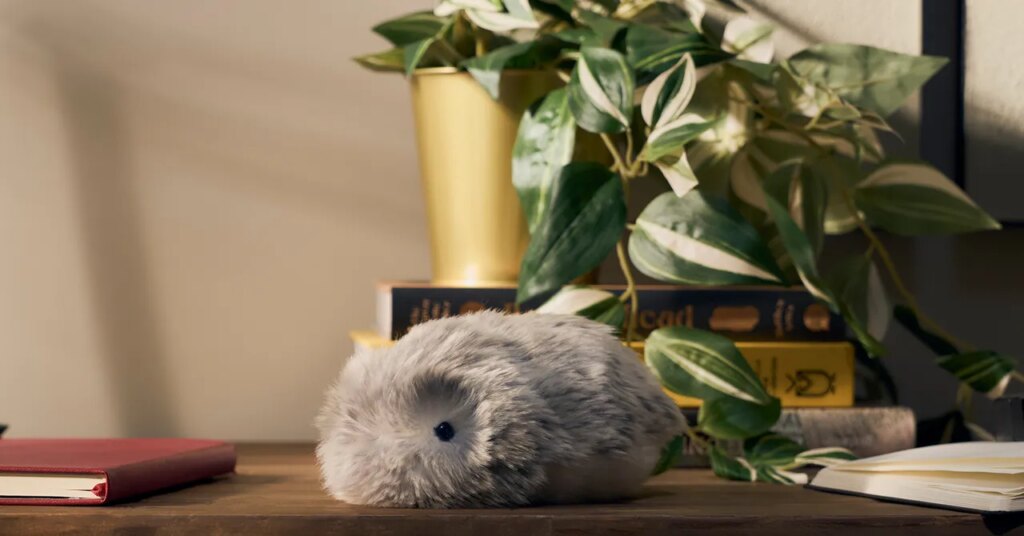 Casio’s Fluffy AI Robotic Squeaked Its Means Into My Coronary heart Casio’s Fluffy AI Robot Squeaked Its Way Into My Heart