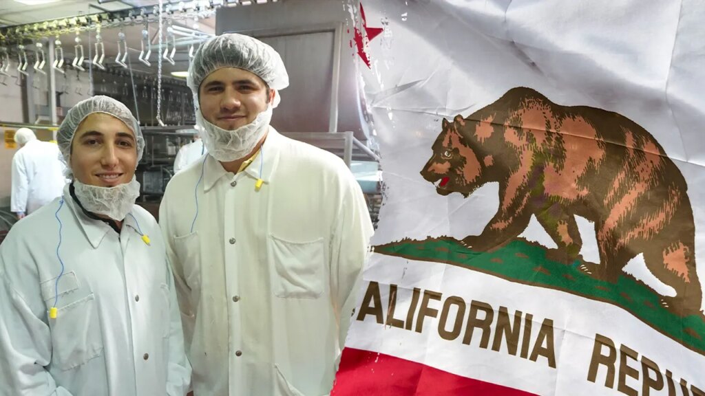 GOP gubernatorial candidate says California insurance policies killed his household enterprise GOP gubernatorial candidate says California policies killed his family business