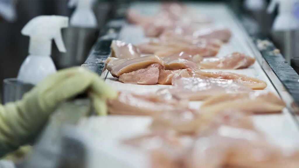 Hormel recollects almost 5M kilos of rooster over potential metallic contamination Hormel recalls nearly 5M pounds of chicken over possible metal contamination
