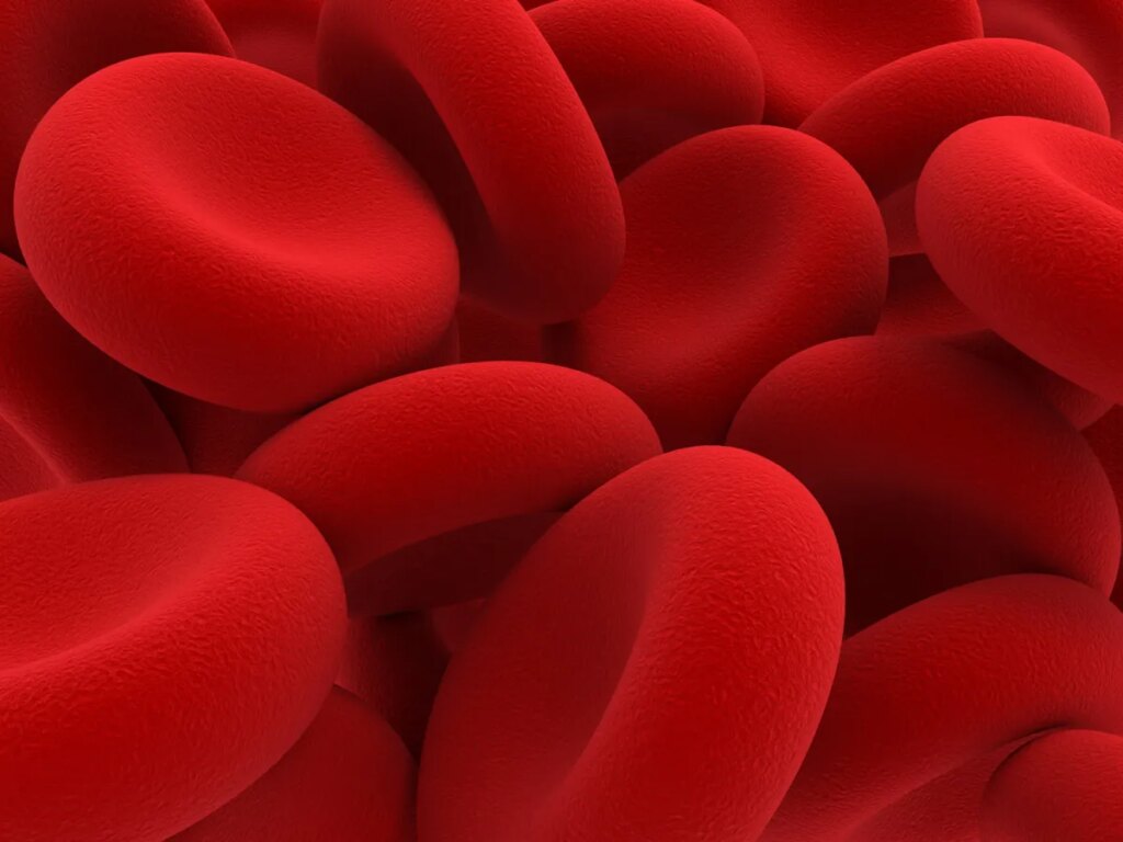 Miraqules will showcase its blood clotting know-how at TechCrunch Disrupt 2025 Miraqules will showcase its blood clotting technology at TechCrunch Disrupt 2025