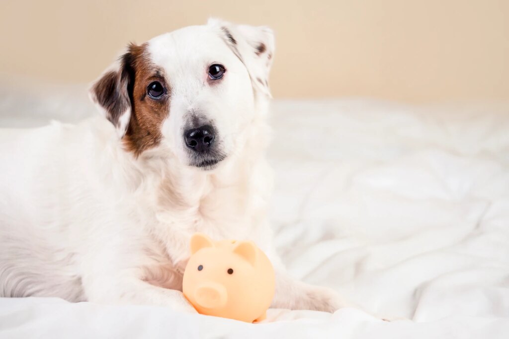 CGDV: Strong Track Record And Unique Positioning Make It A Buy (NYSEARCA:CGDV)