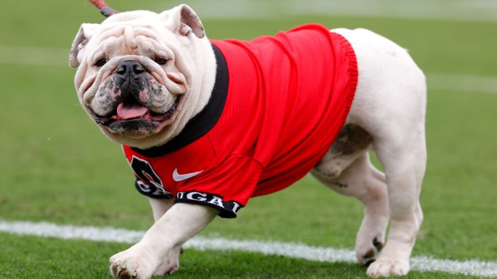 Georgia, Oklahoma rise in AP High 25; three Group of 5 groups ranked Georgia, Oklahoma rise in AP Top 25; three Group of 5 teams ranked