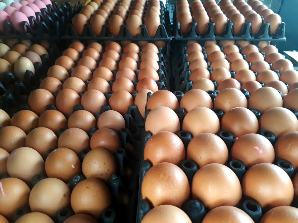 XEQT: Broad Diversification For Defensiveness (TSX:XEQT:CA) XEQT: Broad Diversification For Defensiveness (TSX:XEQT:CA)