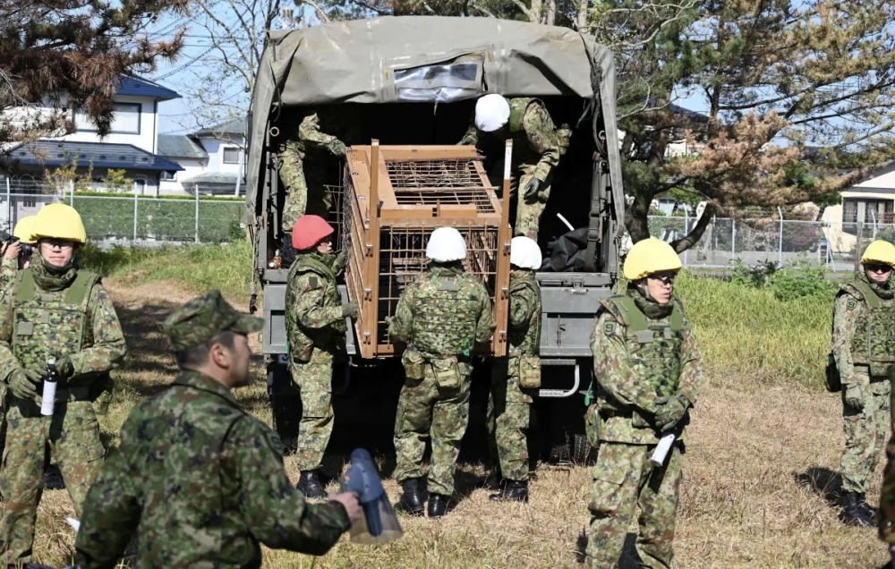 اليابان تستدعي قواتها العسكرية لمواجهة هجمات الدببة اليابان تستدعي قواتها العسكرية لمواجهة هجمات الدببة