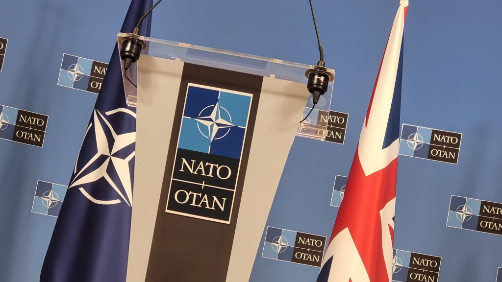 Labour MP calls for NATO 'neighbourhood' model for decisions
