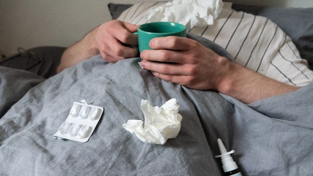 Discover: India: Moringa’s Poisoned Promise: Salmonella O… Salmonella outbreak linked to moringa powder prompts massive recall