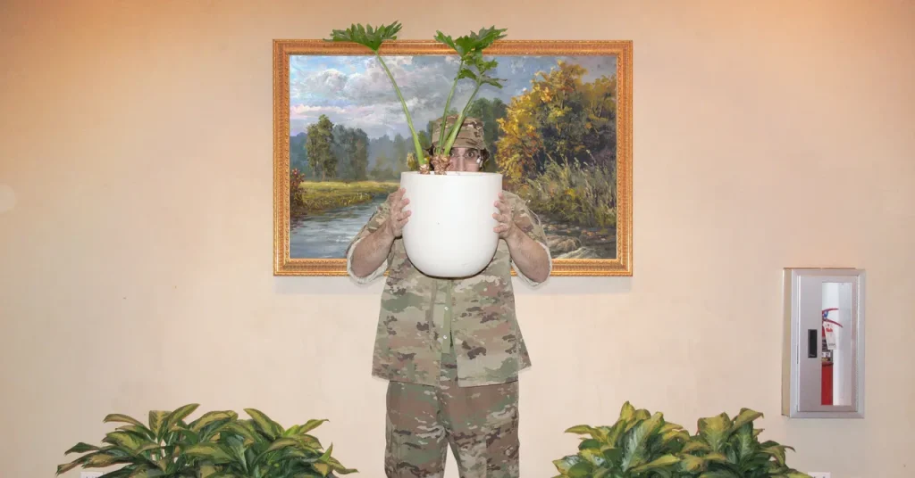 One: United States: Stealth Empire: How American Camoufla… How American Camouflage Conquered the World