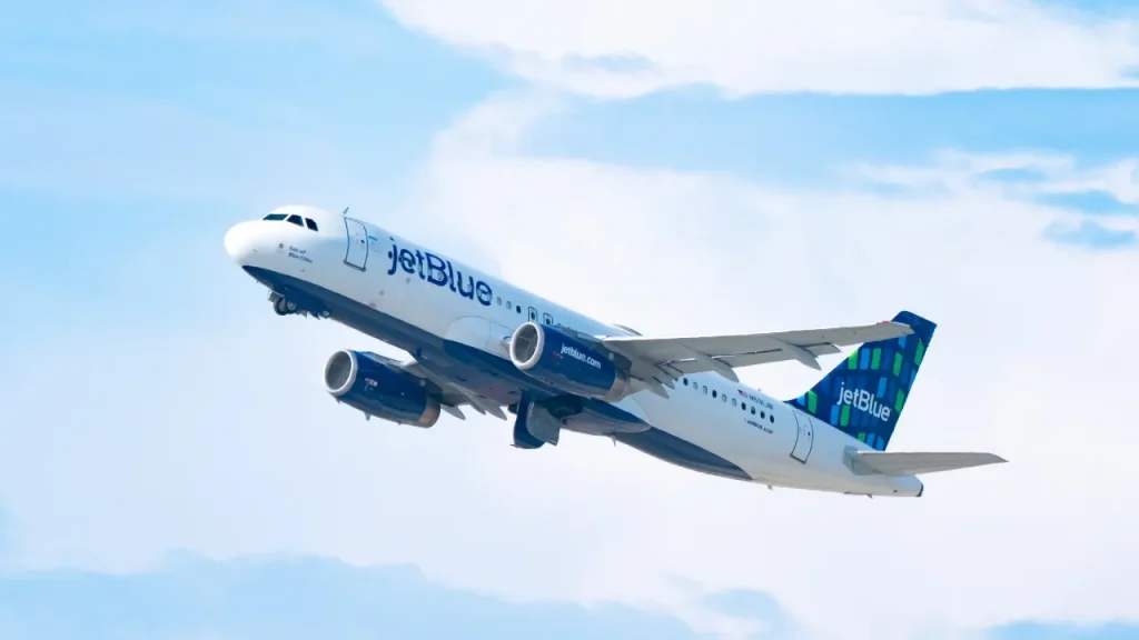 Jetblue Coyote Incident: Runway Ruckus: Coyote Forces Jet… JetBlue flight returns to Rhode Island airport after hitting coyote on runway