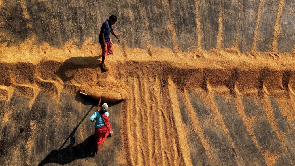 The global food crisis unleashed by the war