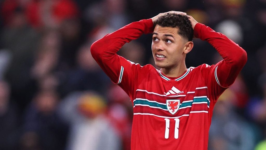 Wales’s Full-Throttle World Cup Bid: High Octane, Hard Crash Wales went 'full gas' but paid price in failed World Cup bid
