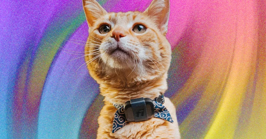 Mini Cats Review: Within: Fi Mini for Cats Review: Unlock Your Feli… Fi Mini for Cats Review: Track Your Pets and Monitor Their Activity