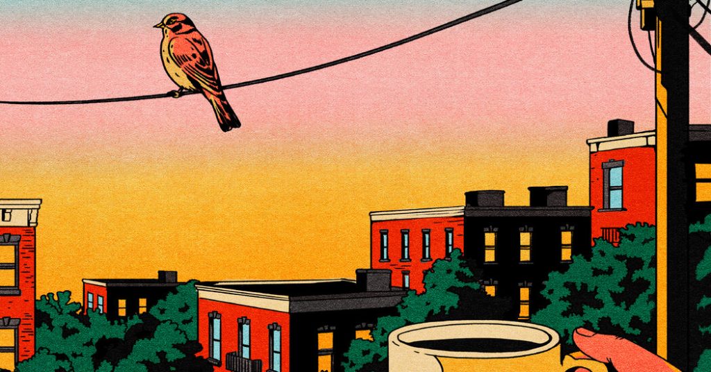 Early Adopter Enigma: New York Times Reveals Tomorrow’s Trends Early Adopter - The New York Times