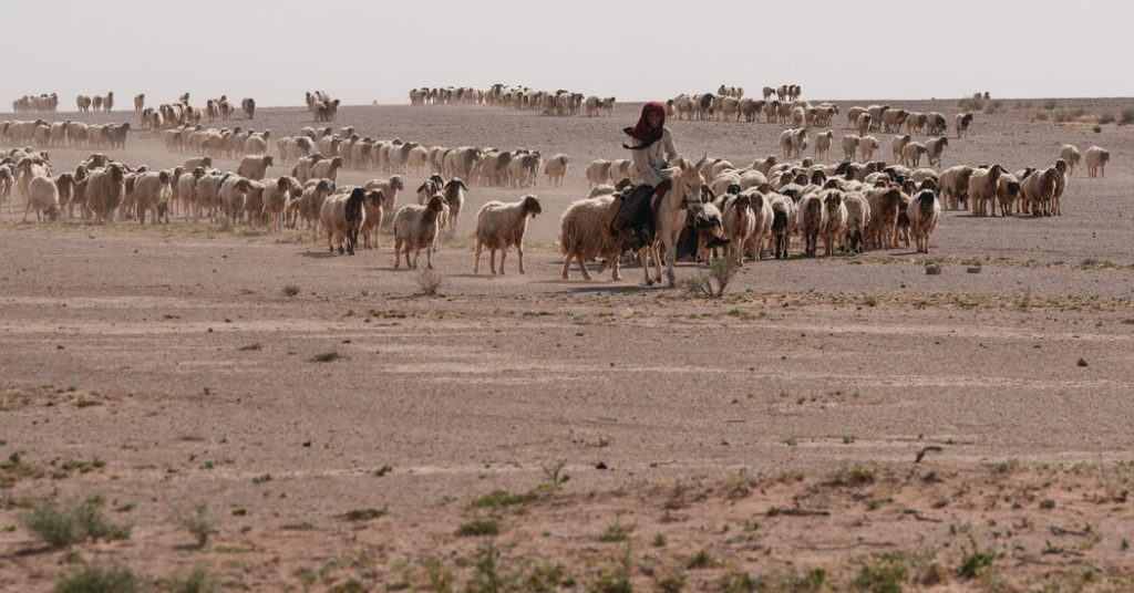 NEWS: NEWS: NEWS: Covert Israeli Military Bases Discovere… In Iraqi Desert, Two Israeli Outposts Were Kept Secret for Months