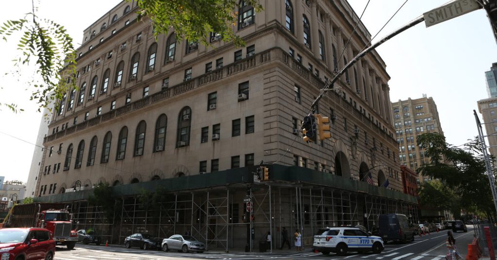 Docket Delivery: From Docket to Delivery: The Brooklyn Courtroom Bi… Woman Gives Birth in Brooklyn Courtroom