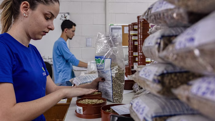 The Lula Shockwave: Why Global Agri-Commodities Plunged After Brazil’s Election Lula’s surprise election victory sends agri-commodities tumbling